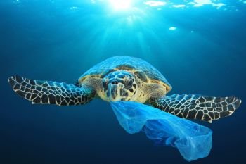 astemmingtideplasticpollution-