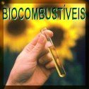 Os biocombustíveis