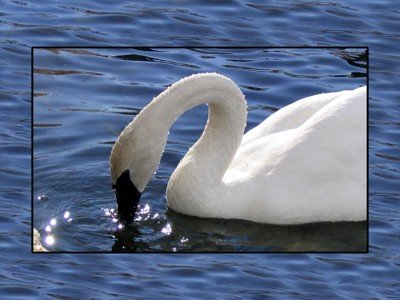 A ciência e pasta de dentes