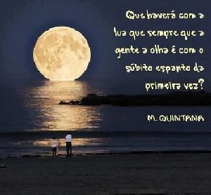 Saudades do Mario Quintana