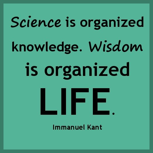 Don’t Buy Expensive Socks