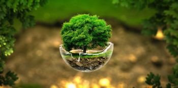 A questão da sustentabilidade (II)