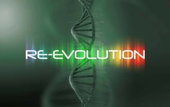 Re-evolução!