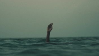 Quo vadis ciência – Portuguese and English Version